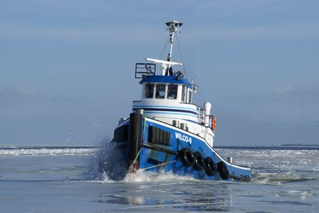 Wilco-B in het ijs.jpg