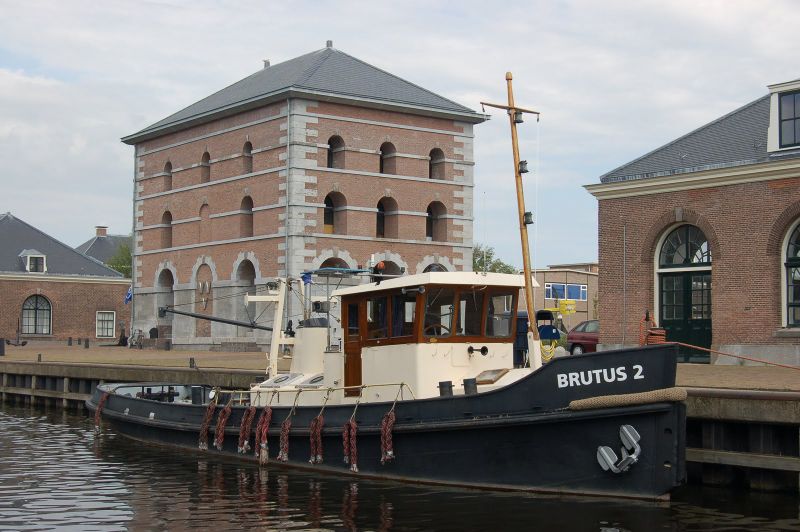 Bestand:Brutus 2.jpg