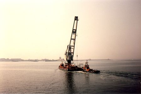 Bambi aan het werk.jpg